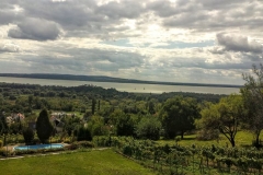 A panoráma